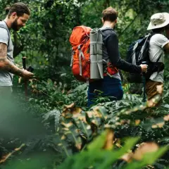 Drei thru hiker wandern durch einen dichten, grünen Dschungel. Einer hält eine Kamera, ein anderer schaut sich um.