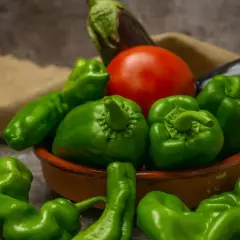 Verdure fresche: peperoni verdi, pomodoro e melanzane. Queste sono solanacee, cosa sono? Famiglia di piante da orto.