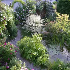 Ein üppiger, kleiner Garten mit Rosenbögen, einem Teich und einem Kiesweg.