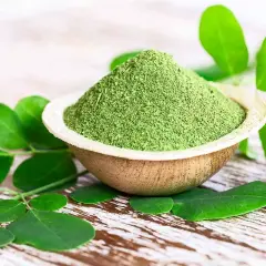 Polvere verde brillante di moringa oleifera in una ciotola, circondata da foglie fresche.