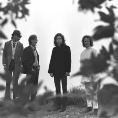 Die Mitglieder von The Doors stehen in einer Reihe, umgeben von Ästen und Blättern.