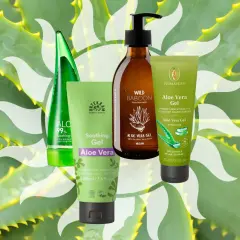 Vier Produkte mit Aloe Vera Gel, umgeben von Aloe-Pflanzen. Reine Aloe Vera Gel für natürliche Pflege.