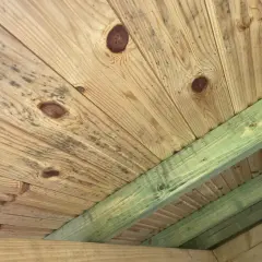 Mögel på träpanelen i en friggebod, vilket indikerar dålig ventilation.