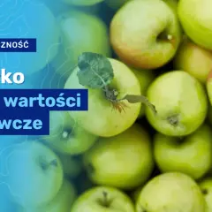 Ile kalorii ma średnie jabłko? Zaskakujące fakty o jego kaloryczności