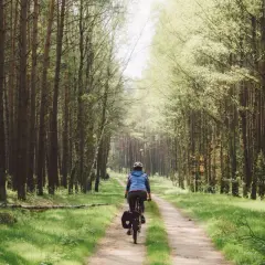 Rowerzystka przemierza leśną ścieżkę w Wielkopolsce, niedaleko Poznania. Słońce przebija się przez drzewa, tworząc magiczny klimat.