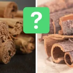 Dwa rodzaje kory cynamonu, jeden gładki, drugi chropowaty. Czy cynamon dla psa jest bezpieczny?