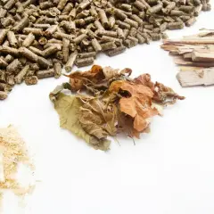 Surowce do produkcji pelletu: trociny, suche liście, kawałki drewna i gotowy pellet. Dowiedz się, jak wyprodukować pellet.