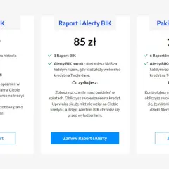 Alerty BIK: Inwestycja w bezpieczeństwo? Czy warto w 2026?
