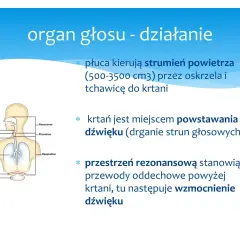 Schemat układu oddechowego i głosowego. Płuca kierują powietrze do krtani, gdzie powstaje dźwięk. Przestrzeń rezonansowa wzmacnia dźwięk, spełniając warunek rezonansu.