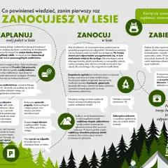 Łuk w lesie: Czy to legalne? Poznaj ryzyko i alternatywy.