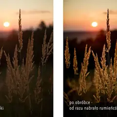 Złota godzina o której słońce maluje trawy na ciepłe barwy. Po obróbce zdjęcie nabiera rumieńców, podkreślając piękno zachodu.