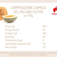 Melone retato: 34 kcal per 100g. La tabella mostra la composizione chimica, con acqua, proteine, lipidi, carboidrati e fibra.