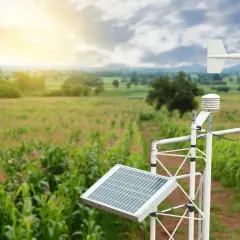 Stacja meteorologiczna na polu kukurydzy mierzy ciśnienie, ile hektopaskali, wiatr i nasłonecznienie.