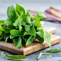 Un mazzo di salvia fresca su un tagliere di legno. Scopri come usare la salvia in cucina per insaporire i tuoi piatti.