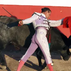 Un torero con su taleguilla rosa y chaquetilla bordada se enfrenta a un toro bravo.