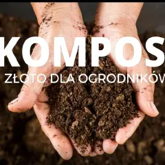 Jak długo robi się kompost? Poznaj czynniki wpływające na czas kompostowania