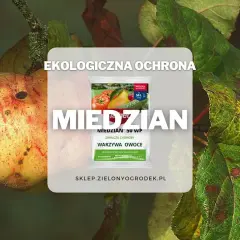Ekologiczna ochrona przed chorobami warzyw i owoców. Czy miedzian jest szkodliwy? Preparat Miedzian 50 WP zwalcza choroby roślin.