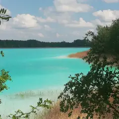 Turkusowe jezioro w Koninie, otoczone trzcinami i zielenią, z błękitnym niebem i białymi chmurami.