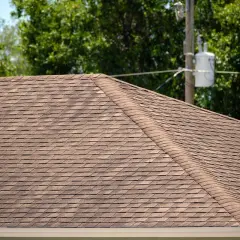 A brown asphalt shingle roof, showing signs of algae growth, possibly Gloeocapsa magma, with trees and a utility pole in the background.