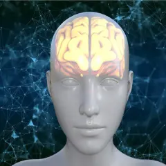 Głowa z widocznym, świecącym mózgiem na tle sieci neuronowej. Czy to uczucie deja vu?