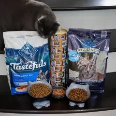 A curious cat investigates a selection of Blue Buffalo cat food, including Tastefuls and Wilderness. Is Blue Buffalo good for cats? This spread suggests it's a popular choice.
