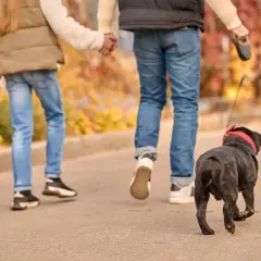 Dzieci trzymające się za ręce i czarny pies na smyczy spacerują jesienią.