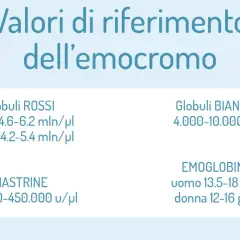 Valori di riferimento dell'emocromo: globuli rossi, bianchi, piastrine ed emoglobina. Scopri cosa sono e i valori normali.