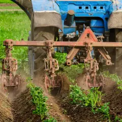 Niebieski traktor z narzędziami uprawia pole, wspierając rolnictwo regeneratywne.