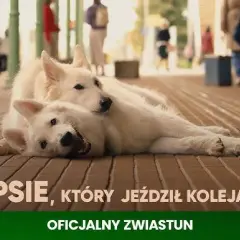 Film o psie który jeździł koleją dla dzieci – wzruszająca historia przyjaźni