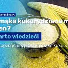 Mąka kukurydziana: Czy tuczy? Rozwiej mity, poznaj fakty!