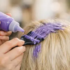 Application d'un **dosage patine révélateur** violet sur des cheveux blonds avec un pinceau.