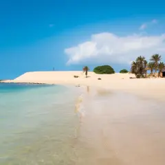 Traumhafter Strand mit Palmen und Dünen. Perfekt für die beste Reisezeit Kapverden, mit klarem Wasser und Sonnenschein.