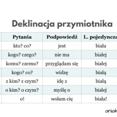 Tabela deklinacji przymiotnika z przypadkami, pytaniami, podpowiedziami i formami liczby pojedynczej i mnogiej.