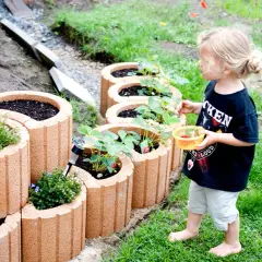 Kleine Gärtnerin erntet Erdbeeren aus einem Hochbeet aus Pflanzsteinen. Tolle Pflanzsteine setzen Ideen für den Garten.