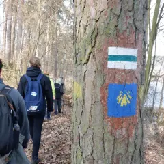 Grupa turystów w lesie, na drzewie oznaczenia szlaków PTTK: biało-zielony i niebieski z żółtą muszlą.