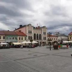 Spacer po żywiec rynek z psem. W tle kamienice i kawiarniane ogródki.