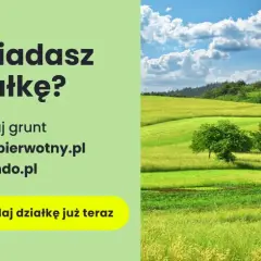 Jak odrolnić działkę pod dom? Uniknij błędów, poznaj koszty i WZ
