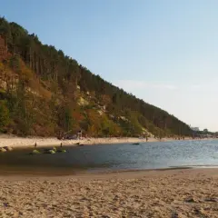 Wyspa Wolin: Atrakcje dla każdego Wikingowie, żubry i morze!