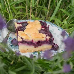 Ein Stück Heidelbeerkuchen mit Vanillepudding, umgeben von Lavendel.