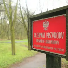 Czerwony znak informuje o rezerwacie przyrody. W tle spacerują dwie osoby pośród drzew.
