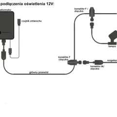 Schemat podłączenia oświetlenia 12V: transformator, czujnik zmierzchu, lampa i rozgałęzienie połączone przewodami. Montaż lamp ogrodowych jest prosty.