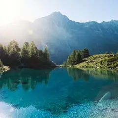 Un lac suisse aux eaux cristallines reflète les montagnes majestueuses et les pins verts sous un soleil radieux.