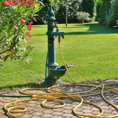 Gartenarbeit: Oleander umtopfen. Ein Oleander im Holzfass wartet auf frische Erde. Gartenschlauch und Wasserhahn sind bereit.