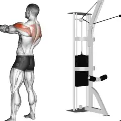 Ejercicios para el músculo trapecio: fortalece tu espalda sin lesiones