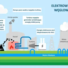 Jak węgiel staje się prądem? Proces, sprawność i ekologia elektrowni