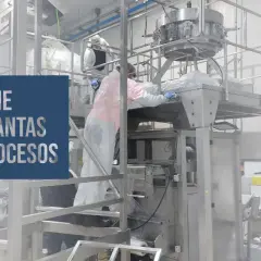 Trabajadores con trajes protectores limpian maquinaria industrial. La asepsia que es, se aplica para garantizar la higiene en plantas de procesos.