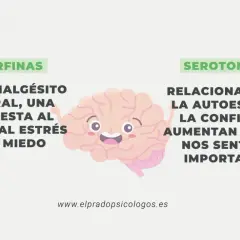 Endorfinas: el analgésico natural, respuesta al dolor, estrés y miedo. Serotonina: ligada a la autoestima y confianza.