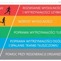 Optymalne tętno w bieganiu: Odkryj strefy i osiągaj cele!