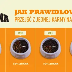 Grafika pokazuje, jak prawidłowo przejść z jednej karmy na drugą. Cztery miski z karmą dla psa, pokazujące stopniowe wprowadzanie karmy ACANA przez 4 dni.