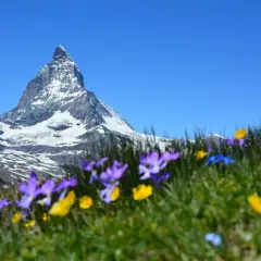 Urlaub in den Bergen: Ihre Top-Regionen & Tipps für 2024
